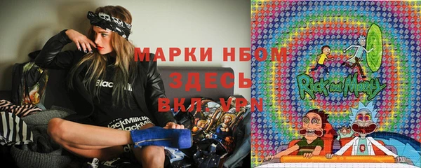 прущие грибы Навашино