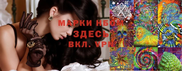 прущие грибы Навашино