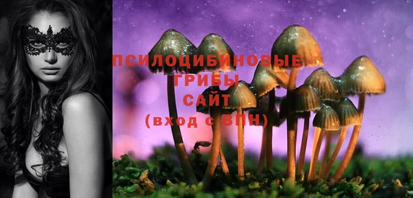 прущие грибы Навашино