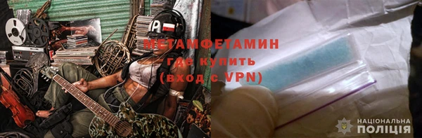 прущие грибы Навашино
