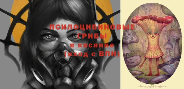 прущие грибы Навашино