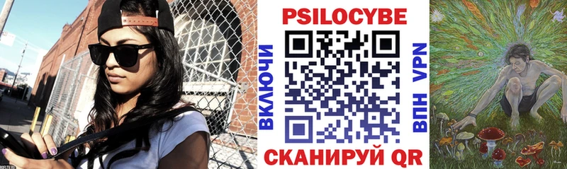 где продают наркотики  Шарья  Галлюциногенные грибы Psilocybine cubensis 